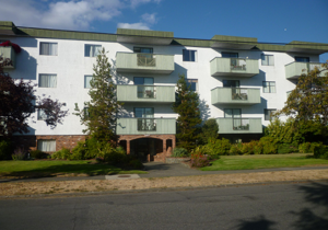 Villa Aviano - 1034 Collinson St.